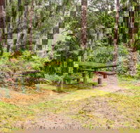 Goodenia Rainforest picnic area - Accommodation NT