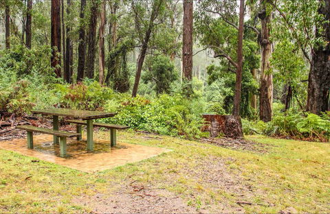 Goodenia Rainforest Picnic Area - Accommodation NT 0