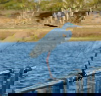 Groper Creek - Accommodation NT