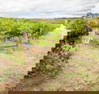 Grove Estate Wines - Accommodation NT