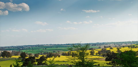 Harden Murrumburrah - Accommodation NT 1