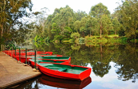 Lane Cove National Park - NT Tourism 0