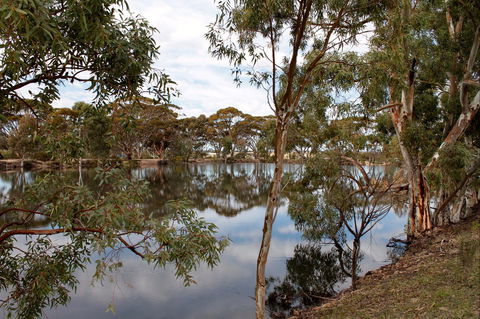 Merredin Railway Dam - Accommodation NT 0