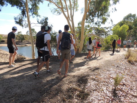 Merredin Railway Dam - Accommodation NT 1