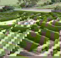 Mintaro Maze - Accommodation NT