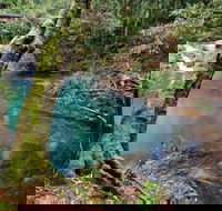 Mobong walking track - Accommodation NT