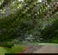 Moonpar Forest drive - Cascade National Park - Accommodation NT