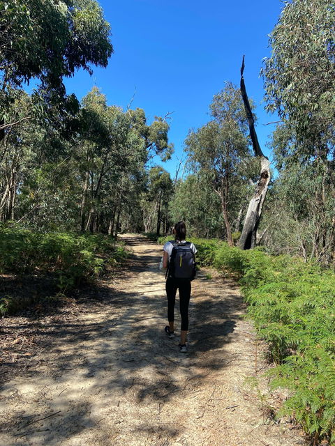 Mt Everard Circuit - Accommodation NT 0