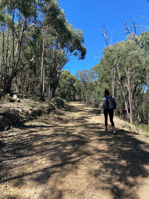 Mt Everard Circuit - Accommodation NT 2