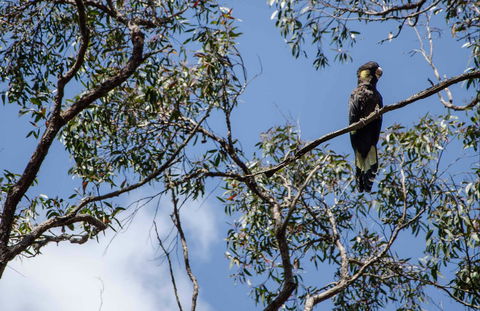 Mummel Gulf National Park - Accommodation NT 0