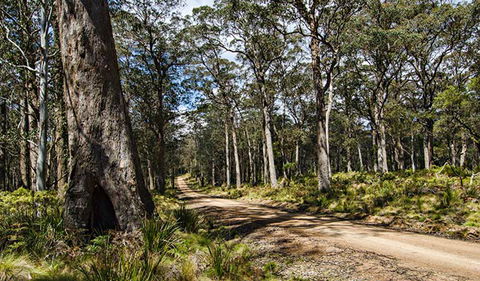 Mummel Gulf National Park - Accommodation NT 1