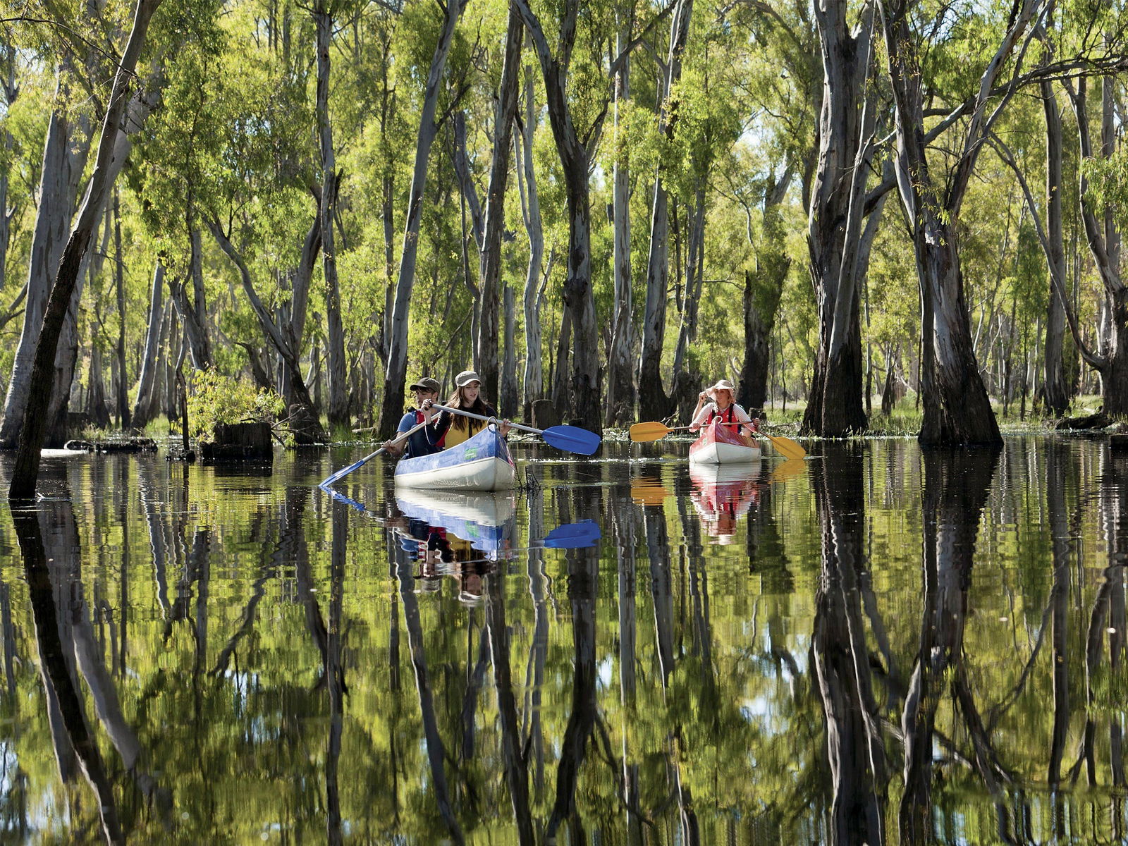 Hartwood NSW Accommodation NT