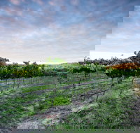 Nature and Foodies Trail - Accommodation NT