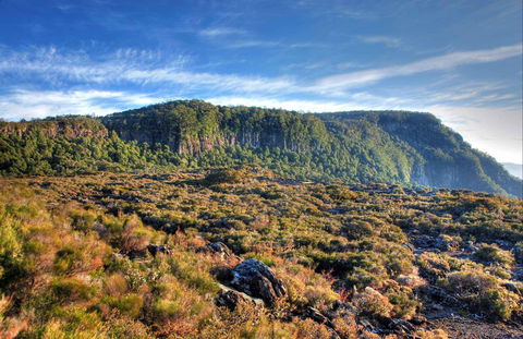 New England National Park - NT Tourism 0