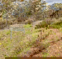 Old Mountain Road Walking Track - Accommodation NT