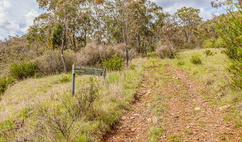 Old Mountain Road Walking Track - Accommodation NT 0