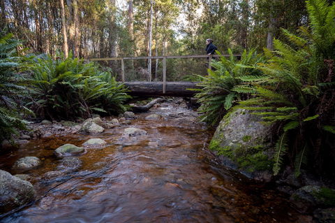 O'Neills Creek Picnic Reserve - Accommodation NT 0