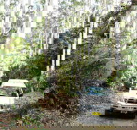 Orara Escarpment 4WD Touring Route - Accommodation NT