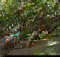Palms picnic area - Accommodation NT
