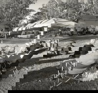 Pioneer Park - Accommodation NT