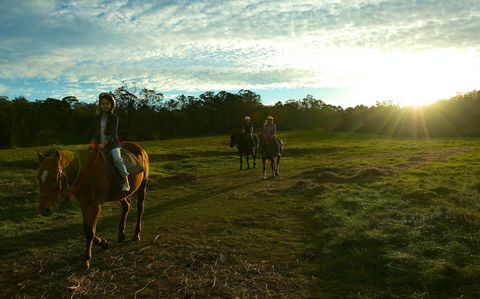 Scenic NSW Horse Riding Centre - Accommodation NT 0