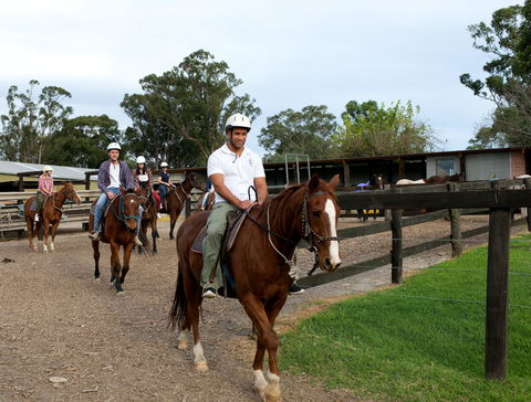 Scenic NSW Horse Riding Centre - Accommodation NT 1