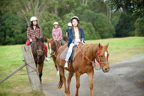 Scenic NSW Horse Riding Centre - Accommodation NT 2