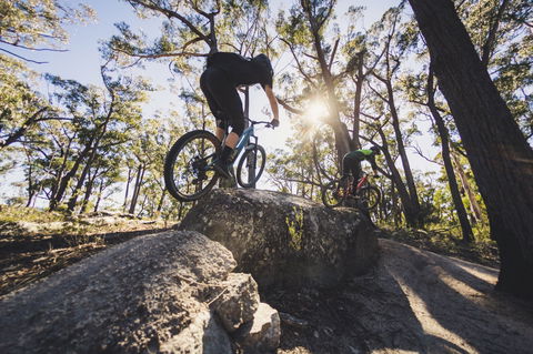 St Helens Mountain Bike Trails - Accommodation NT 1