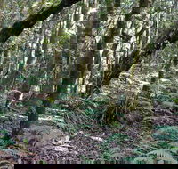 Summit Walking Track Mount Hyland Nature Reserve - Accommodation NT