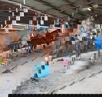 The Equine Club - Accommodation NT