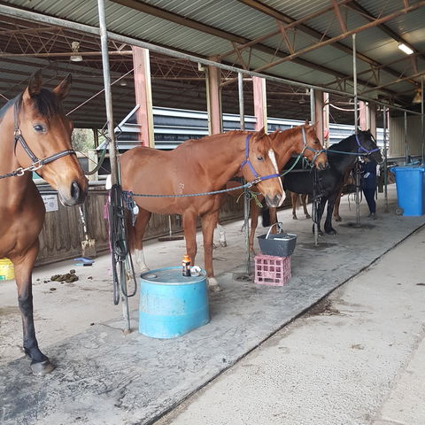 The Equine Club - Accommodation NT 0