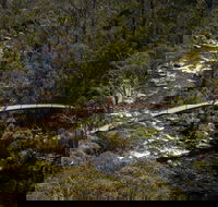 Thredbo Valley Track - Accommodation NT