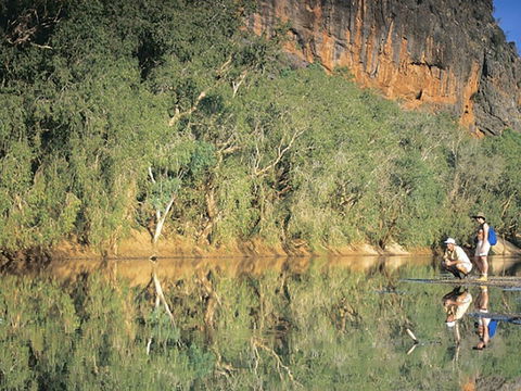 Time Walk, Windjana Gorge National Park - Accommodation NT 0
