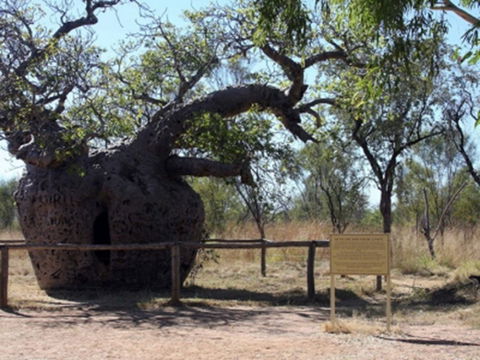 Time Walk, Windjana Gorge National Park - Accommodation NT 2