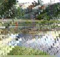 Tumut Wetlands - Accommodation NT