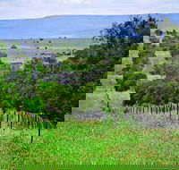 Wild Dog Barrier Fence - Accommodation NT