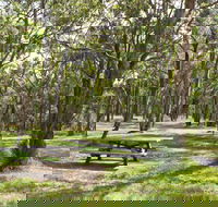 Wollomombi Gorge and Falls Picnic Area - Accommodation NT