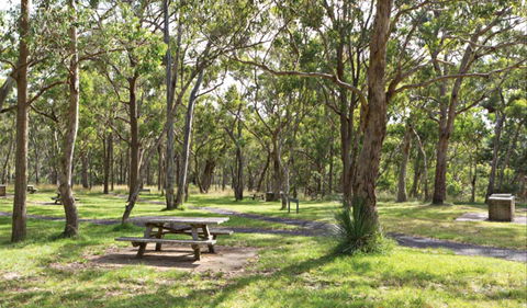 Wollomombi Gorge And Falls Picnic Area - Accommodation NT 0
