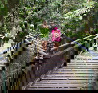 Wonga Walk - Accommodation NT