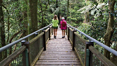 Wonga Walk - Accommodation NT 0