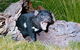 Private Blue Mountains Tour With Kangaroo And Koala Experience - thumb 8