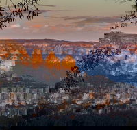 Private Blue Mountains Tour with Kangaroo and Koala Experience - Accommodation NT