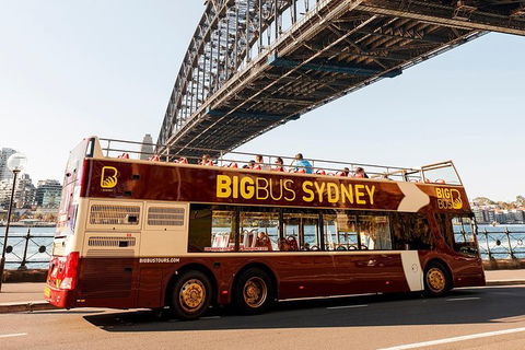 Hop-On Hop-Off Bus And Cruise PLUS Attractions - Accommodation NT 5