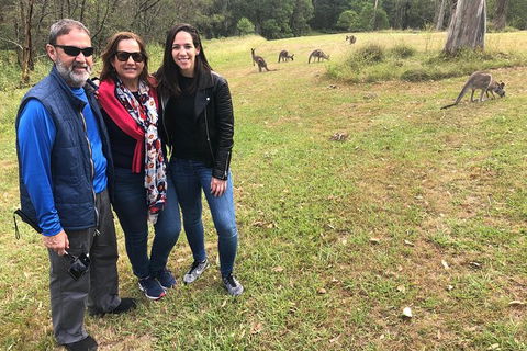 Blue Mountains Number 1 Day Tour Includes Popular Breakfast In The Aussie Bush - Accommodation NT 14