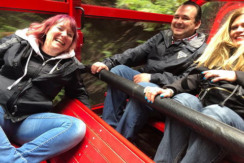 Blue Mountains Number 1 Day Tour Includes Popular Breakfast In The Aussie Bush - Accommodation NT 12
