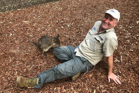 Blue Mountains Number 1 Day Tour Includes Popular Breakfast In The Aussie Bush - Accommodation NT 2