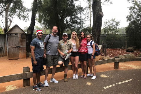 Blue Mountains Number 1 Day Tour Includes Popular Breakfast In The Aussie Bush - Accommodation NT 9
