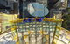 Sydney SKYWALK At Sydney Tower Eye Ticket - thumb 6