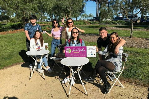 The Wine Connoisseur\'s Hunter Valley Wine Tasting Tour, Full Day - Accommodation NT 2