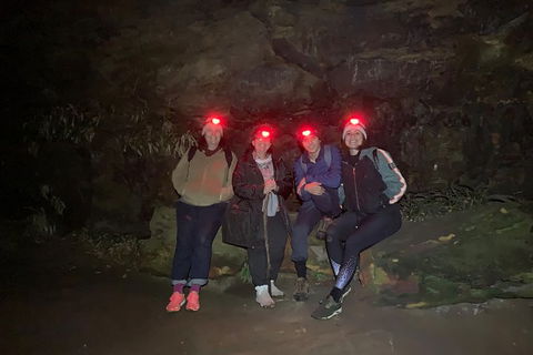 Blue Mountains Hiking Glow Worms Cave Wildlife Spotlighting Night Adventure - Accommodation NT 12